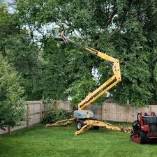 Best Emergency Tree Removal  in Stanley, WI