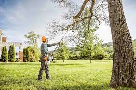  Stanley, WI Tree Removal Pros